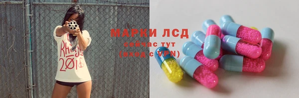 mdpv Вяземский